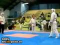 videos de Patadon de taekondo by videosgratuitos.com