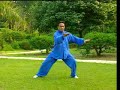 Tai Chi Master Xue An Ri