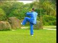 Tai Chi Master Xue An Ri