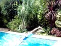 Pilee