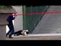 Rollerblading: Black Market - Lemon Tree Montage