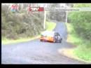 Atropello camarografo en carrera