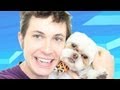 PUPPY TIE