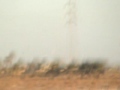 Mech Inf Coy