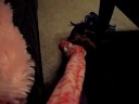 Rylie & His Snake