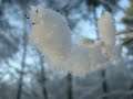 here's a little video i crated this morning. mainly it's a slide show of some photographs i took during the last winter (2007/2008).

have fun and thx for watching!