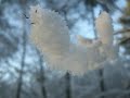 here's a little video i crated this morning. mainly it's a slide show of some photographs i took during the last winter (2007/2008).

have fun and thx for watching!