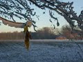here's a little video i crated this morning. mainly it's a slide show of some photographs i took during the last winter (2007/2008).

have fun and thx for watching!