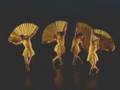 Momix - Opuscactus
