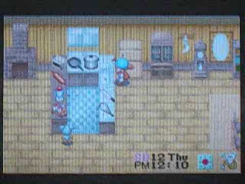 how to make a plain omelet in harvest moon
