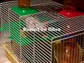 Sal�n Libro Barcelona 2006: spiderman