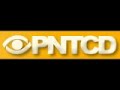 Ion Diaconescu, PNTCD (1)