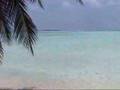Sailing and snorkling Kuredu Maldives 2004