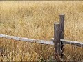 Hee Haw Hayride - Hee Haw Hayride Hee Haw Hayride - Hee Haw Hayride