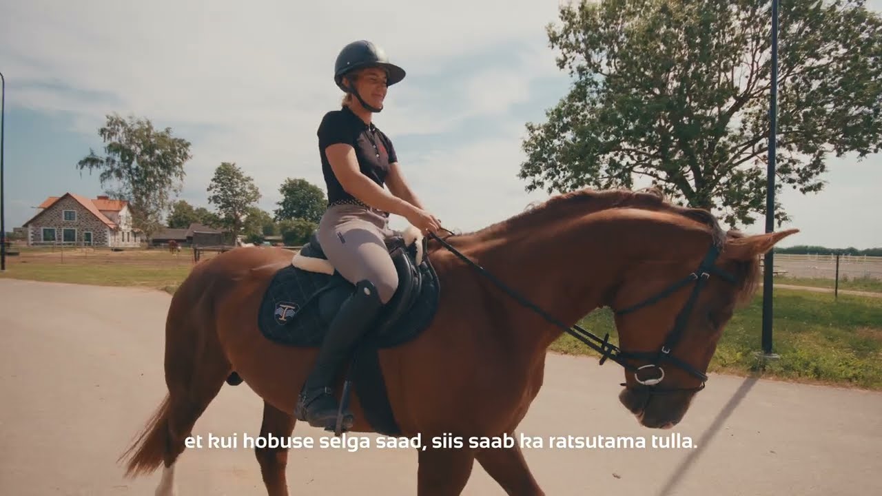 Tori Hobusekasvandus - mis teeb selle koha eriliseks?