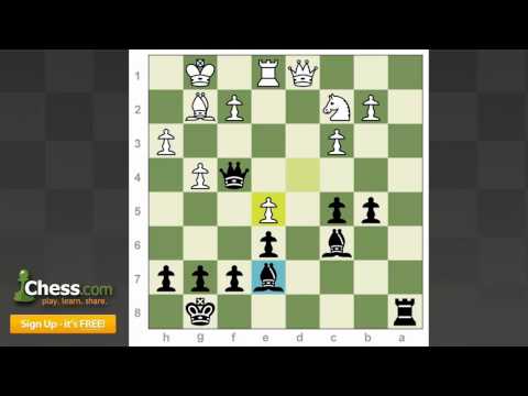 chess games