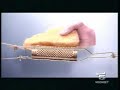 Parmigiano Reggiano