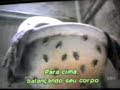 CORAL DE BARATAS