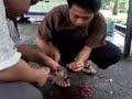 husin sembelih puyuh sampai putus kepala