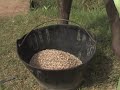 5 Land Preparation