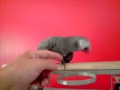 Guinness gets amorous!