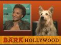 It's Todd's Show Ep29 RENT-A-MUTT & TALKING TURKEY