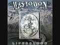 Mastodon - We Built 