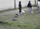 Education Mornant