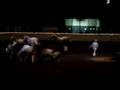 videos de Pfizer Fantasia Sylvia's Sensational Arabians *08