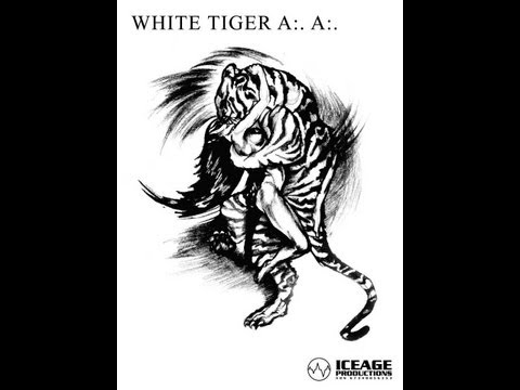 WHITE TIGER (