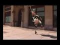Crazy Cow Crazy Cow