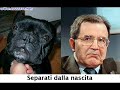 PRODI CADE:LA MORTADELLA E\