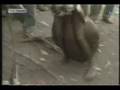 big ba balls funny video