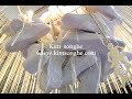 DesignTide Kim?Songhe DesignTide Kim?Songhe