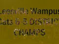 Leesville Wampus Cat Tribute Leesville Wampus Cat Tribute