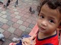 BURUNG MERPATI LABUAN
