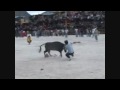 toros de mi pueblo vol 9 (2)