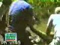 Anaconda attacks dog