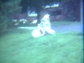 Home Movies #1
