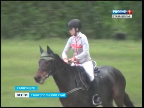 Конкур под дождем 2016 Конкур под дождем 2016