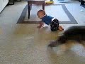 Cute Dog and Baby Play Together