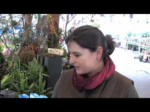 Watch the video, leave a comment and be entered to win an orchid a month for the rest of the year!