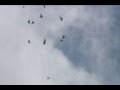 Rolling Pigeons on Memorial Day 2008