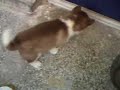 I Want Out!