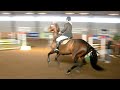 Stella VRF Svealand cup 1.10