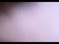 Un Coniglio Molto ma Molto Mangione!!!!