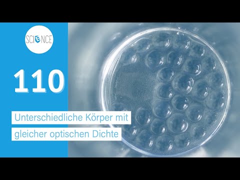 Unsichtbar durch Brechung - Unterschiedliche Körper mit gleicher optischen Dichte - Experiment: