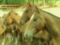 Nota a Andino Grahn - Hombres de campo Nota a Andino Grahn - Hombres de campo