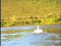 Lancha Pantaneira LAKE STAR