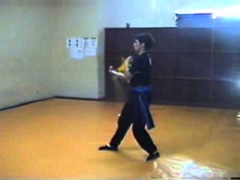 Aulas de Kung Fu Trial Video